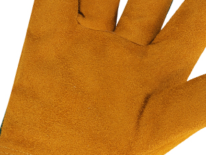 Scratch-proof Palm