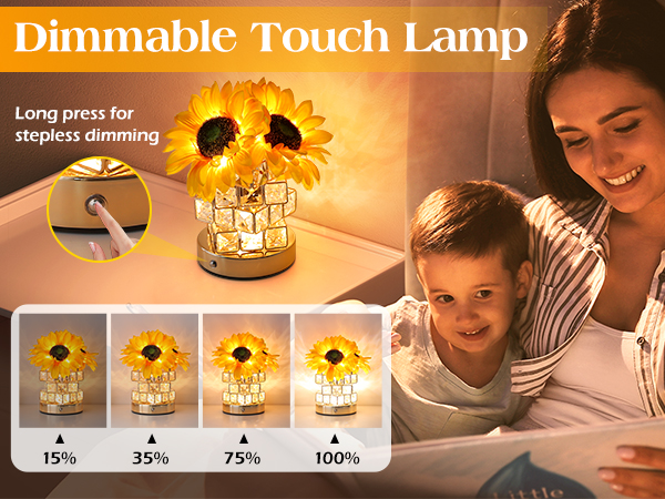 Touch switch /Infinitely dimmable /Type-C charging