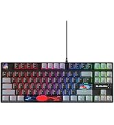 iTastatur 75 Percent Mechanical Gaming Keyboard, 87 Keys RGB Backlit Wired Keyboard TKL Compact K...