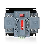 6-63amp AC110V Automatic/Manual Transfer Switch 2P 50/60Hz