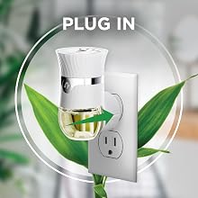 plug
