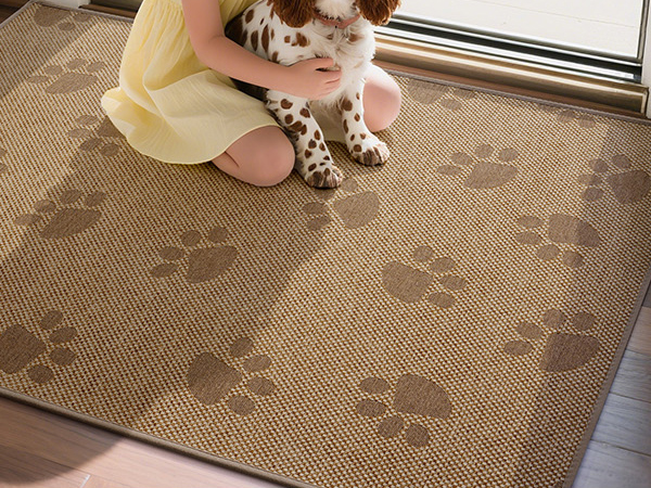 entryway rug