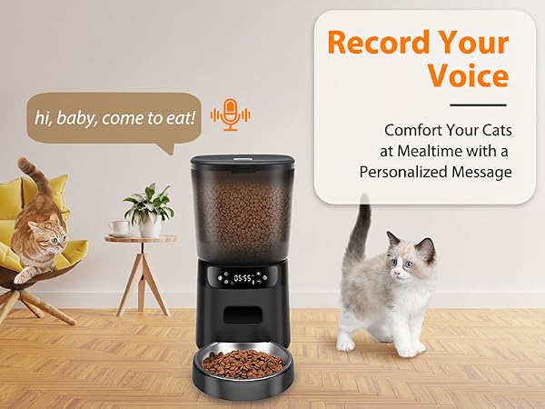 dispensador de comida para gatos