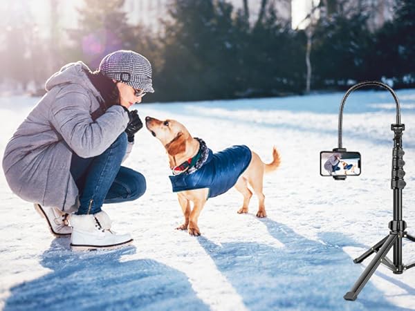 Phone tripod stand