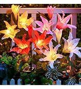 Brightown Solar Lights Outdoor, 4 Pack Solar Garden Lights with Larger &amp; More Realistic Lily Flow...