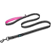 PHOEPET 5 Feet Heavy Duty Dog Leash - Reflective - Soft Padded Handle Traffic Grip for Extra Cont...