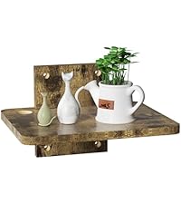 https://m.media-amazon.com/images/I/41HjI%2BCXWUL.__AC_SR200,225___.jpg