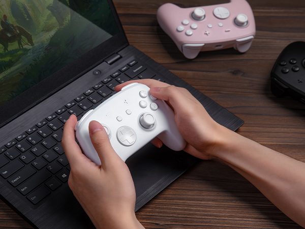 switch pro controller