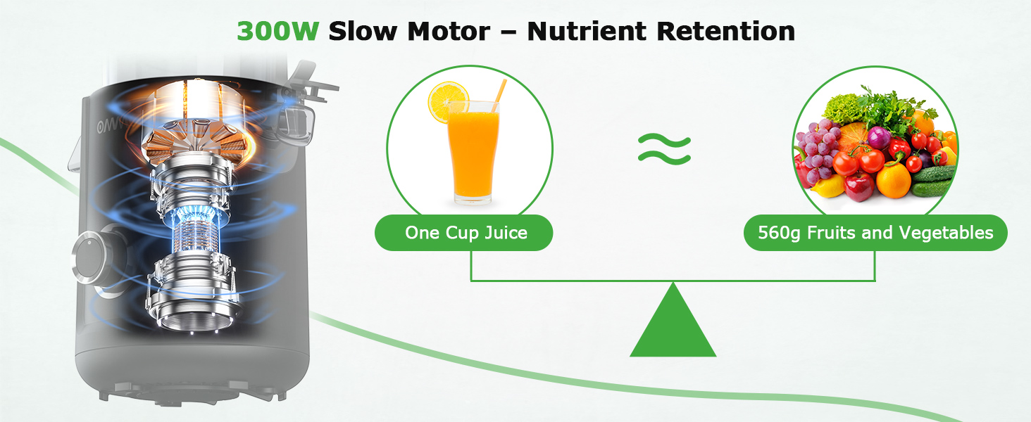 slow juicer