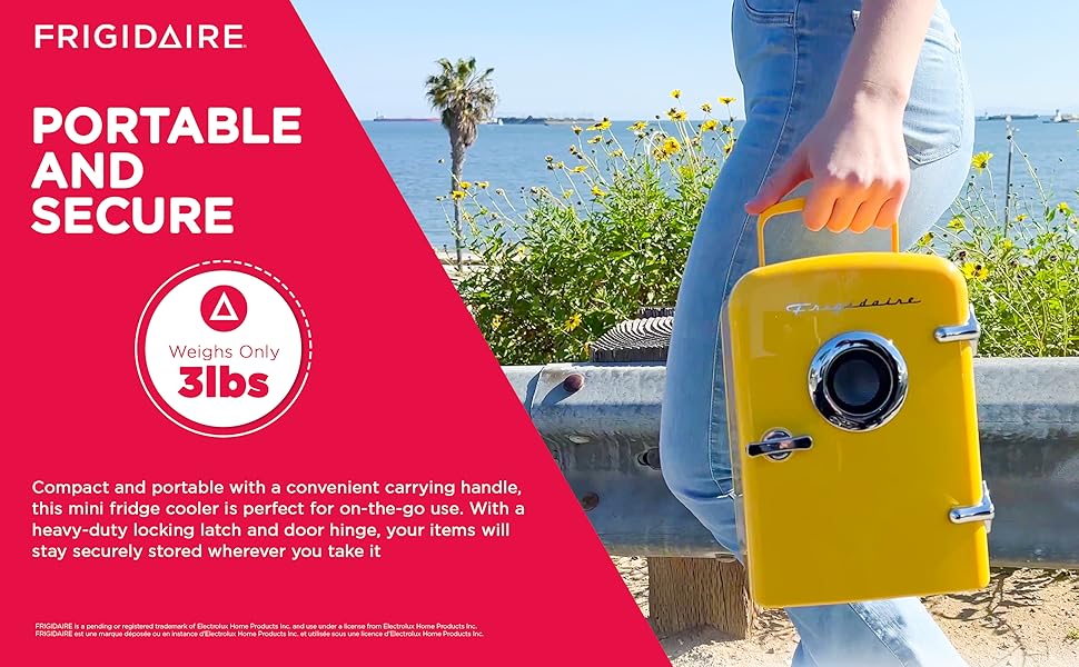 mini fridge cooler