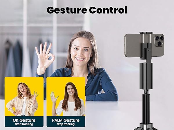 Gesture Control