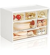 Mini Desk Storage Organizer with 6 Drawers, FODIENS Stackable Desktop Craft Drawer Cabinet, Clear...