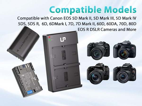 canon r6 battery charger