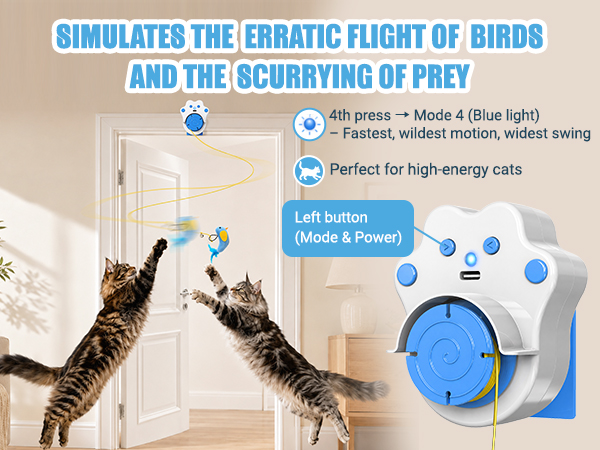 Wild Mode(Blue)-For High-energy cats