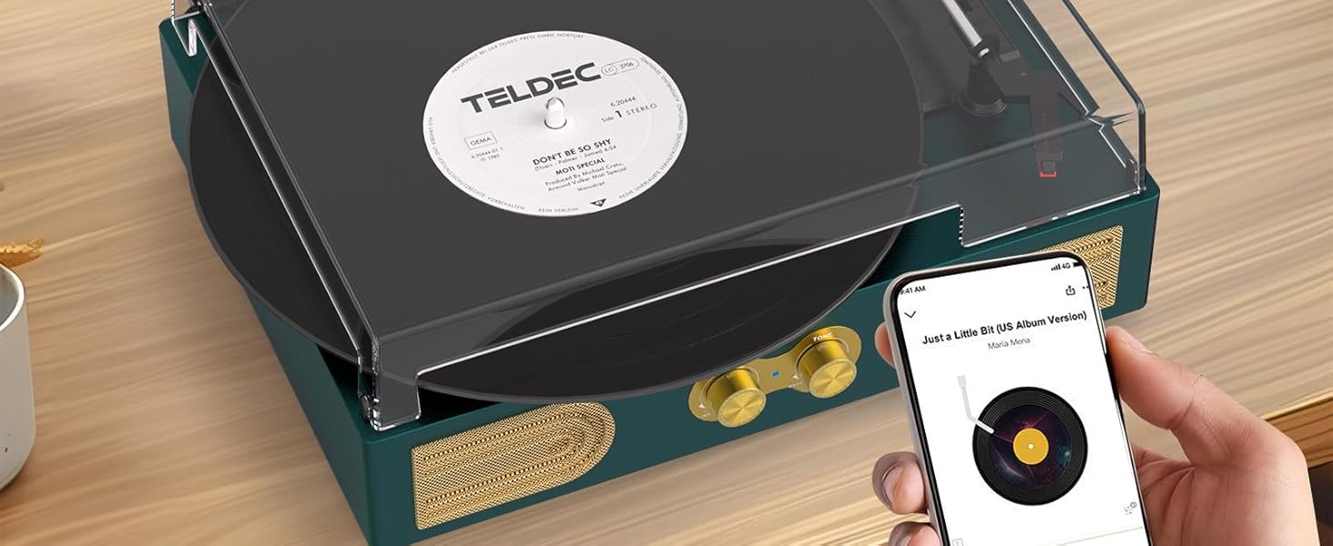 vinyl record player