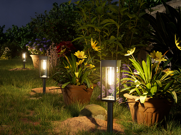 Solar Garden Lights