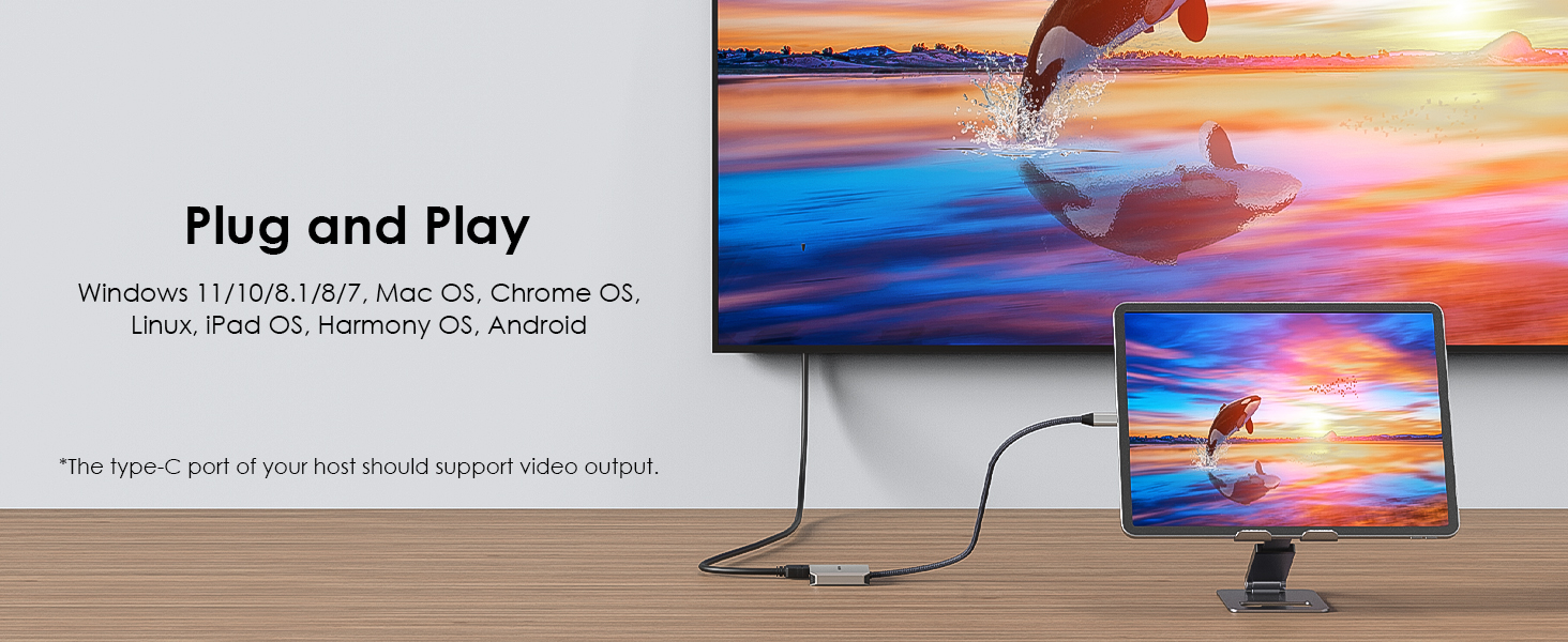 usb c to hdmi adapter