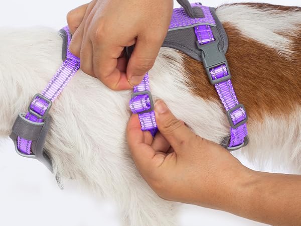 dog harness with handle 