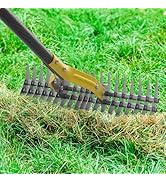 Thatch Rake, 51" Heavy Duty Metal Dethatcher Rake with 15" Wide Double-Edged Sharp Tines Thatch R...
