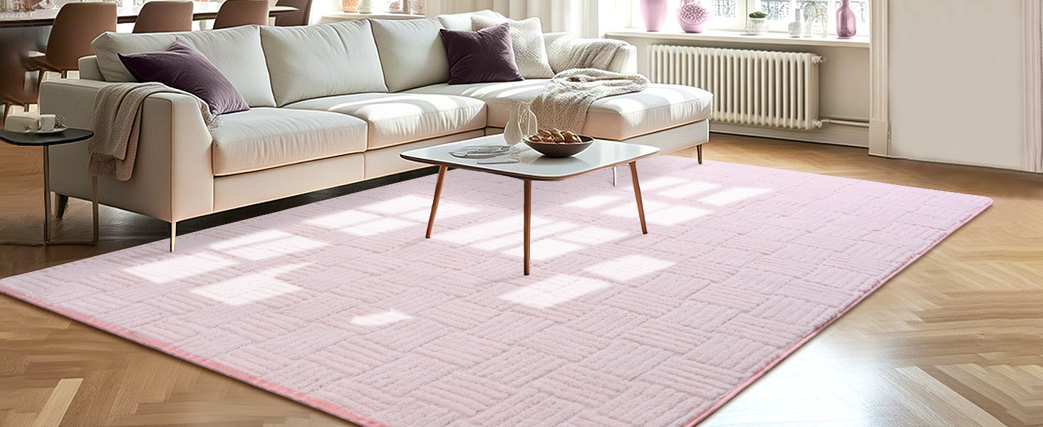 Living Room Rug