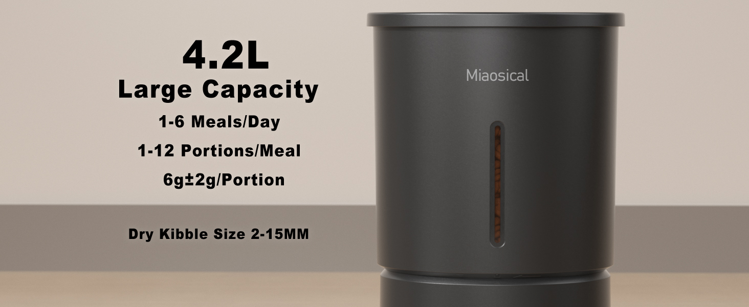 automatic dual cats feeder