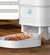 automatic cat feeder