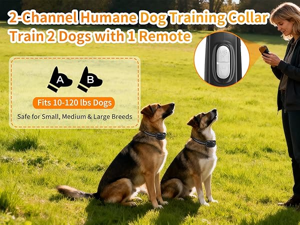 dog training collar with remote 8