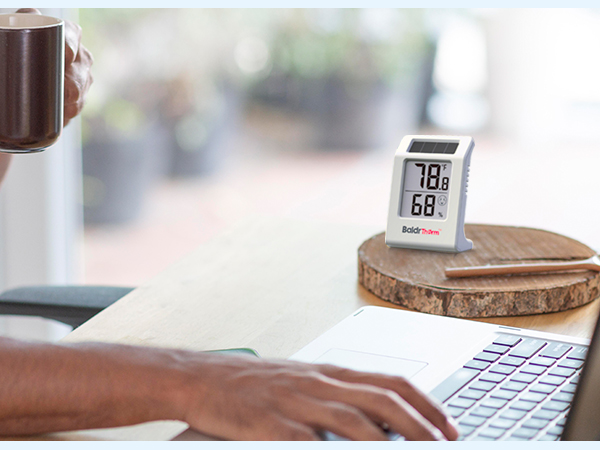 Indoor Thermometer