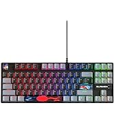 iTastatur 75 Percent Mechanical Gaming Keyboard, 87 Keys RGB Backlit Wired Keyboard TKL Compact K...