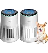 Air Purifiers for Bedroom Home with Sleep Mode for Smoke Pet Dander Odors, Small Air Purifier wit...