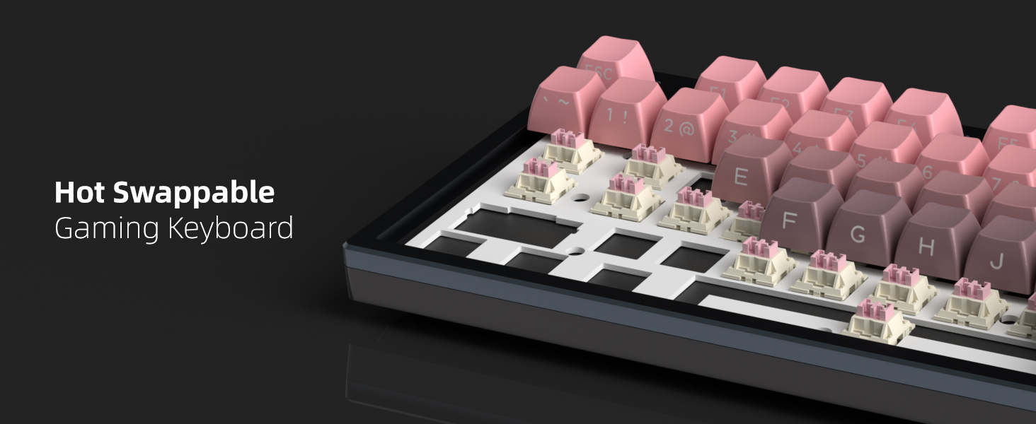 Hot-Swappable Custom Switches