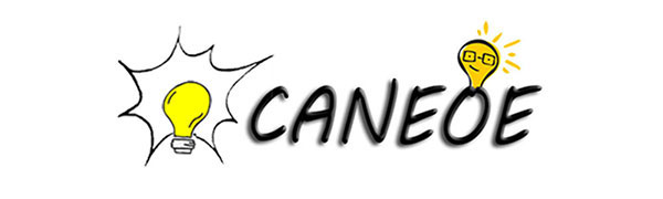 CANEOE CEILING LIGHT