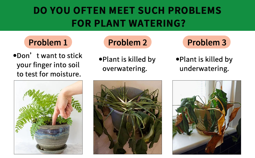 Plant watering problems
