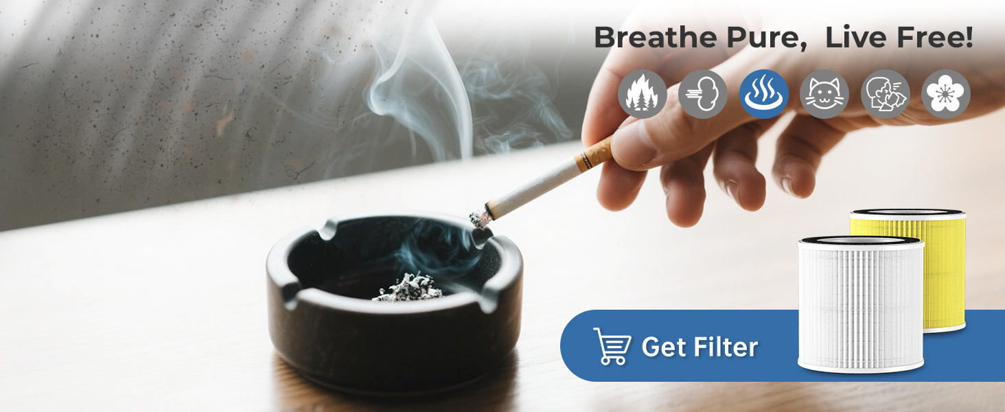 air purifiers for smoke