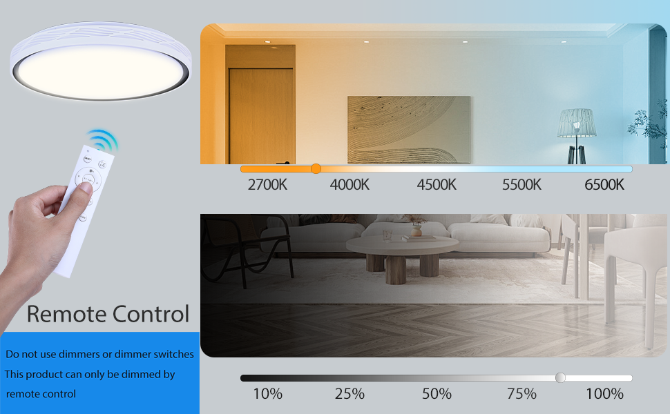  Ceiling Light