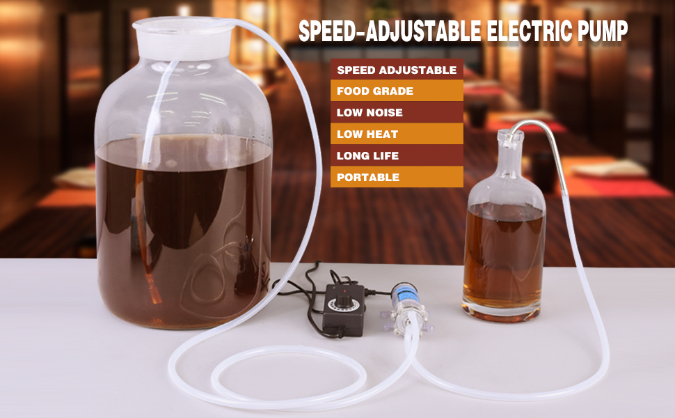 Speed Adjustable Electric Pump