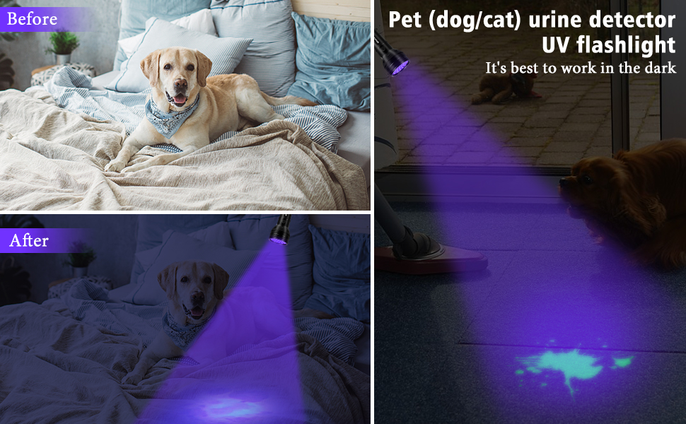 51 led rechargeable uv light