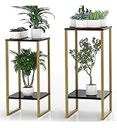 Moforoco 2Pack Tall Plant Stand Indoor, Metal Pedestal Planter Shelf Outdoor, Large Black Gold Fl...