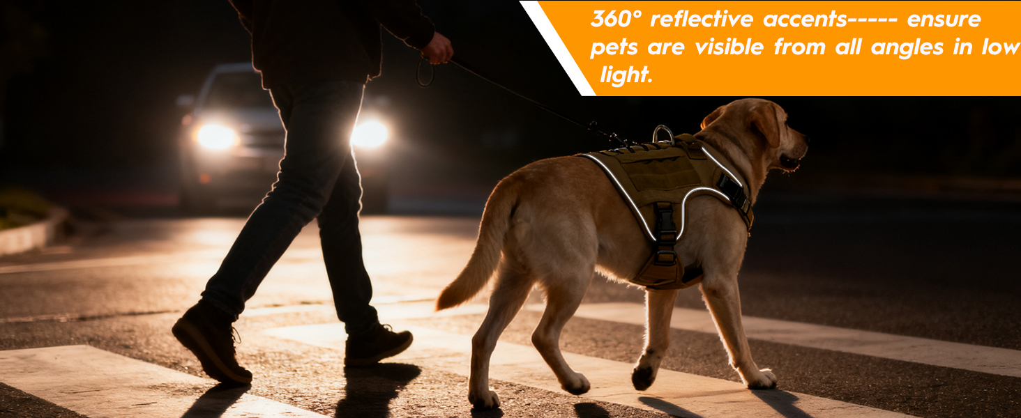 Bright Reflective Trim for Night Visibility, Secure Fit for Early Morning or Evening Walks.