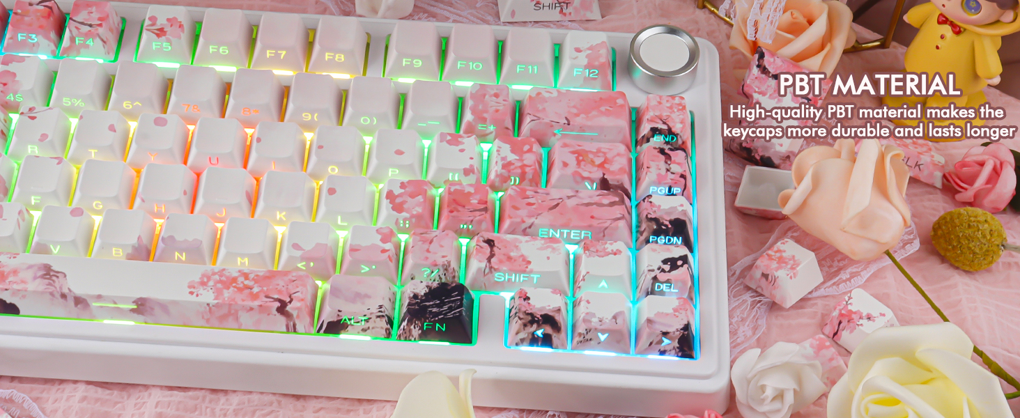 Pink Cherry Blossom Shine Through Keycaps