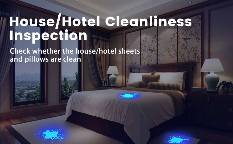 Hotel/House Inspection