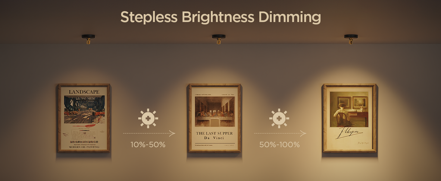 focus lights for backdrop decoration