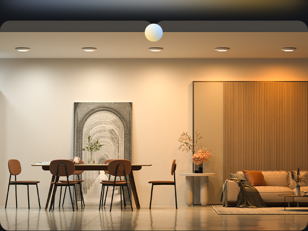 disk light pro