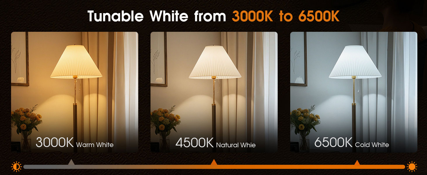 Adjustable color temperature LED lamp (3000K–6500K).