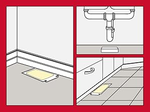 Place where rodent activity has been observed