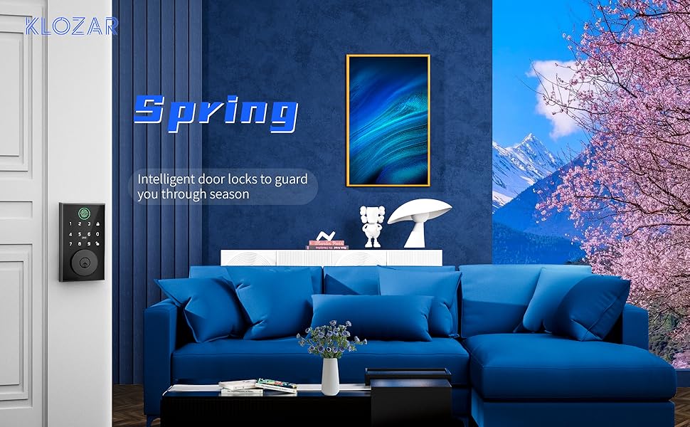 smart door lock