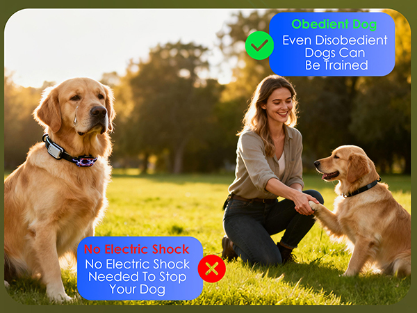 bark deterrent device