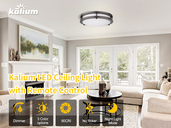 Ceiling light with remote