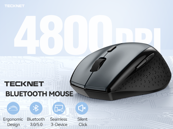 mouse