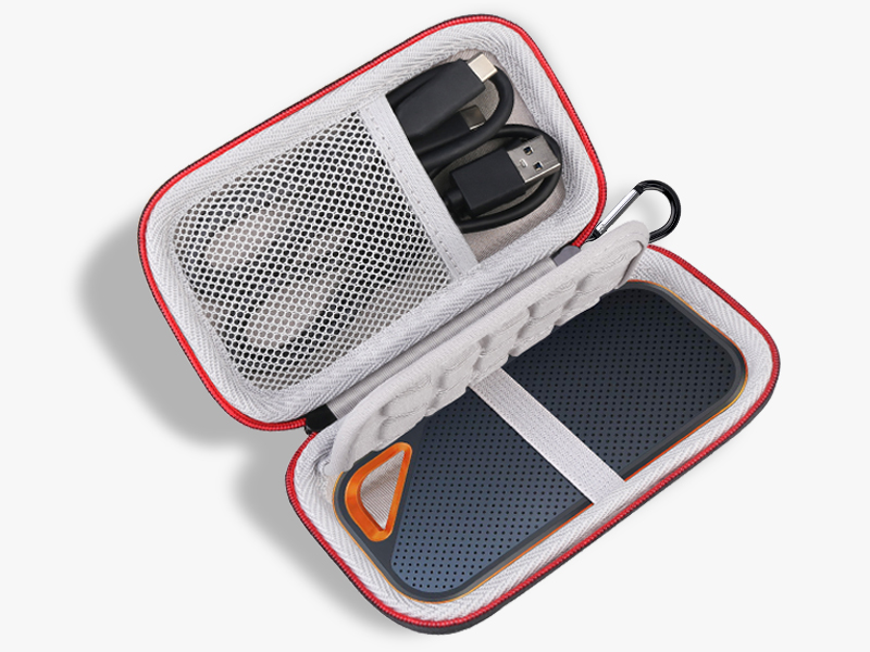 sandisk ssd carrying case